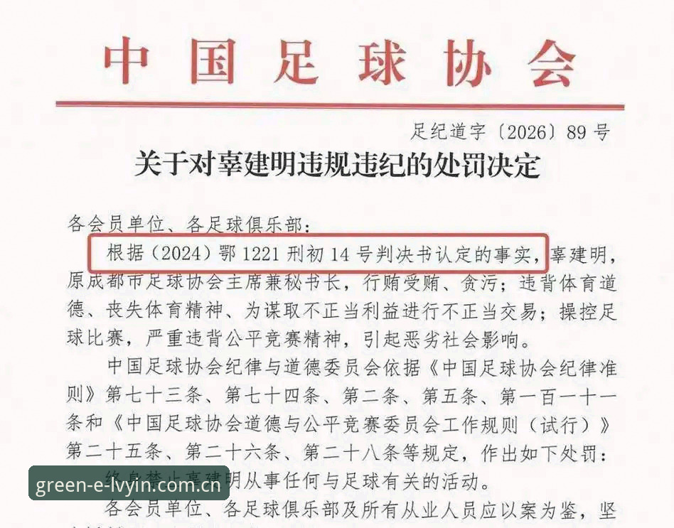 资深足球观察者用绿茵体育V2.0.5复盘足协第三批禁足名单：一次行业自净的深度切片